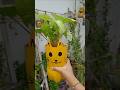 I Turned Plastic Bottles Into Planters (And It Actually Worked)