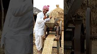 sukhi ghass dry grass ai video #livestream #youtubeshorts #youtubelive #artguy #trend #views#shorts