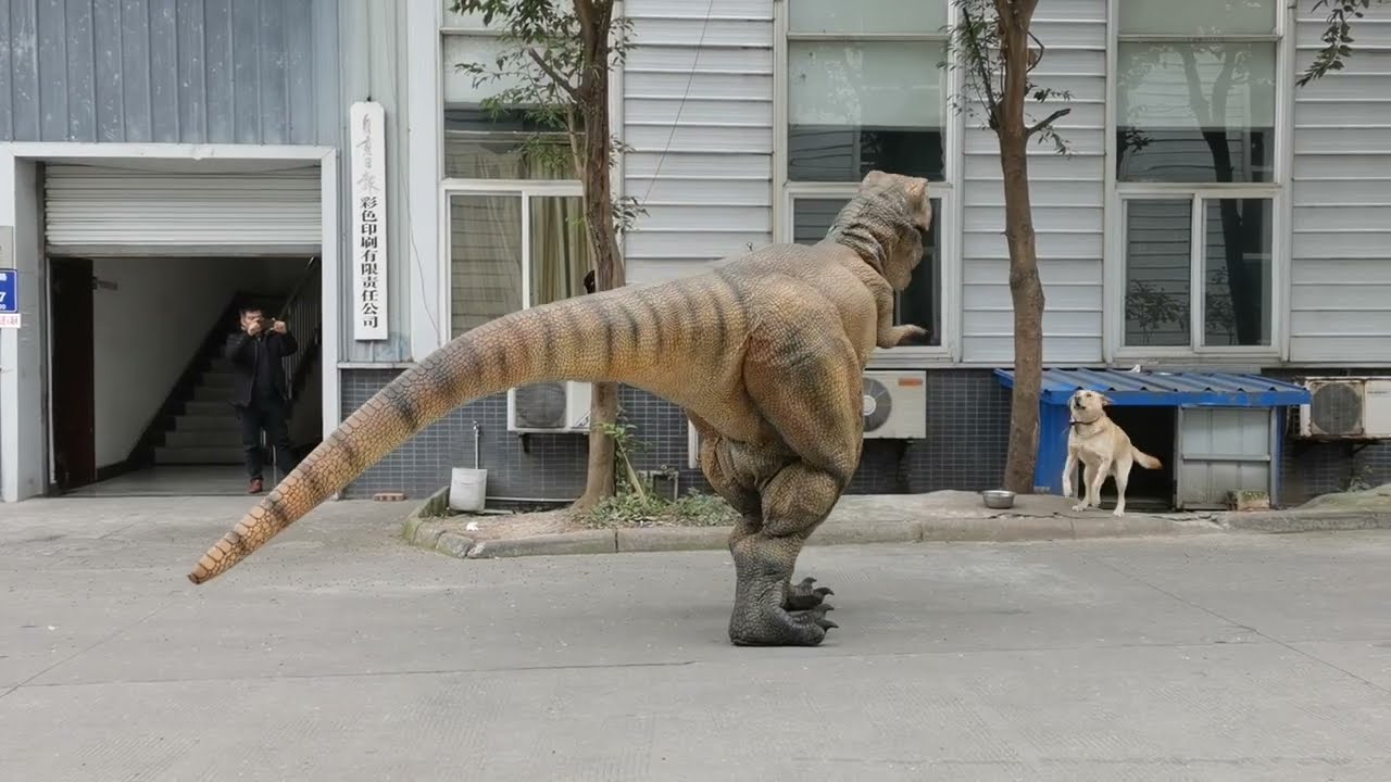 100 Different Dinosaur Costume (05) :  A Struggle Between T-rex and Dog😆😆