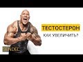 КАК УВЕЛИЧИТЬ ТЕСТОСТЕРОН?