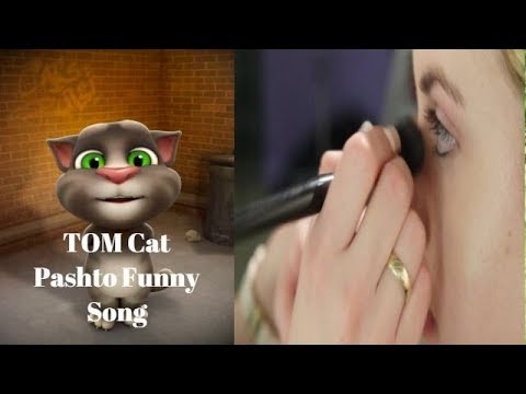 tom-cat-new-pashto-funny-song,-tore-stagre-tore-ke