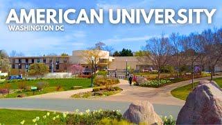 American University in Washington DC ✏ | Walk With Me, Campus Tour | College in the City