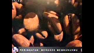 Download lagu RCTI Djarum Black Cappuccino 22 24