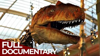 Dinosaurs  On the Trail of Prehistory | Free Documentary History