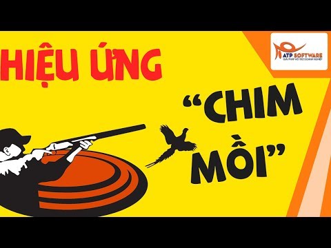 Video Hiệu ứng CHIM MỒI trong kinh doanh | Bài học kinh doanh - youtube