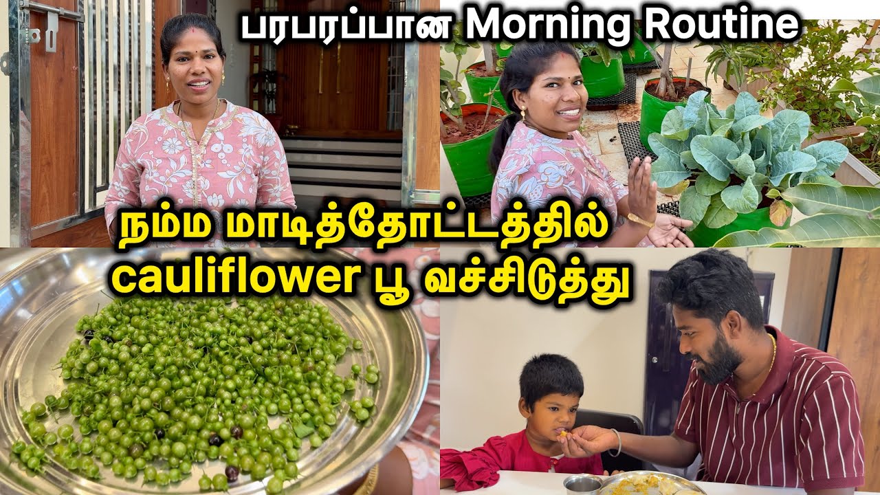 நம்ம மாடித்தோட்டத்தில் cauliflower பூ வச்சிடுத்து | Morning Routine | Sangeetha Vinoth | #tamilvlog