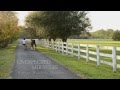 Unexpected Miracles - Horses Healing Humans