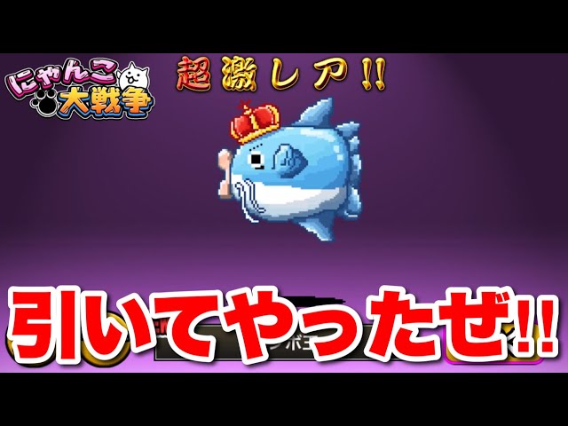 The Battle Cats Live] I tried the Mambo King gacha! - YouTube