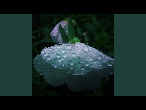 Ver 寄り道カフェのコーヒー no YouTube