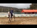 Practicing Horse Riding 