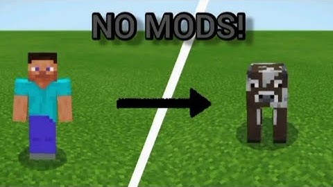 Minecraft: HOW TO MORPH INTO ANY MOB WITHOUT MODS OR RESOURCES