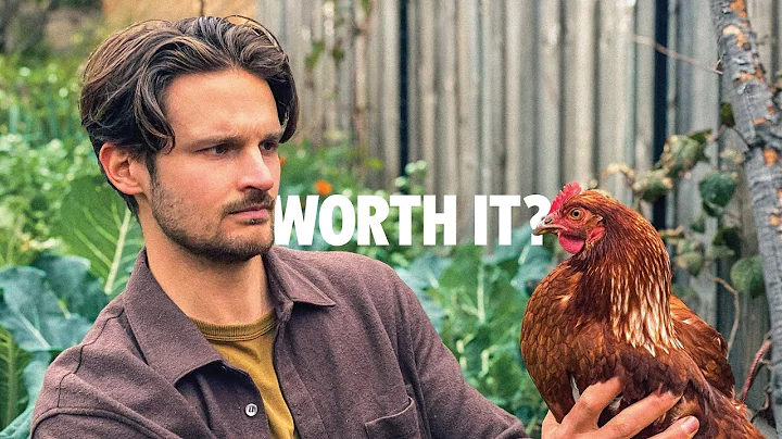 Backyard Chickens: 4 Important Lessons (Watch before you buy)