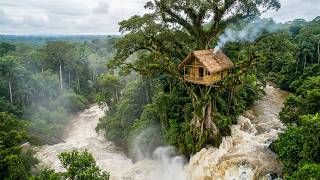 111-Day Challenge: Building a Bamboo Treehouse in the Middle of a Large River Using Primitive Tools