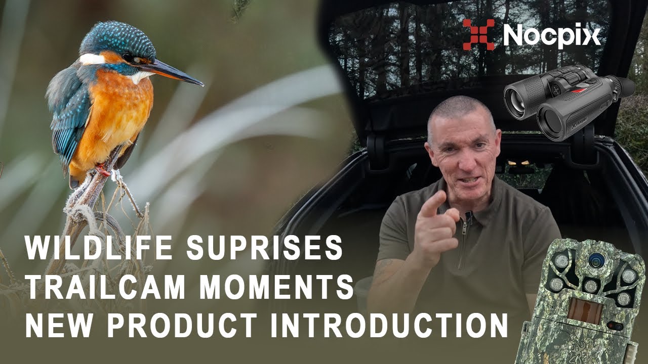 Удивлён дикой природой и новым тепловизионным биноклем Nocpix