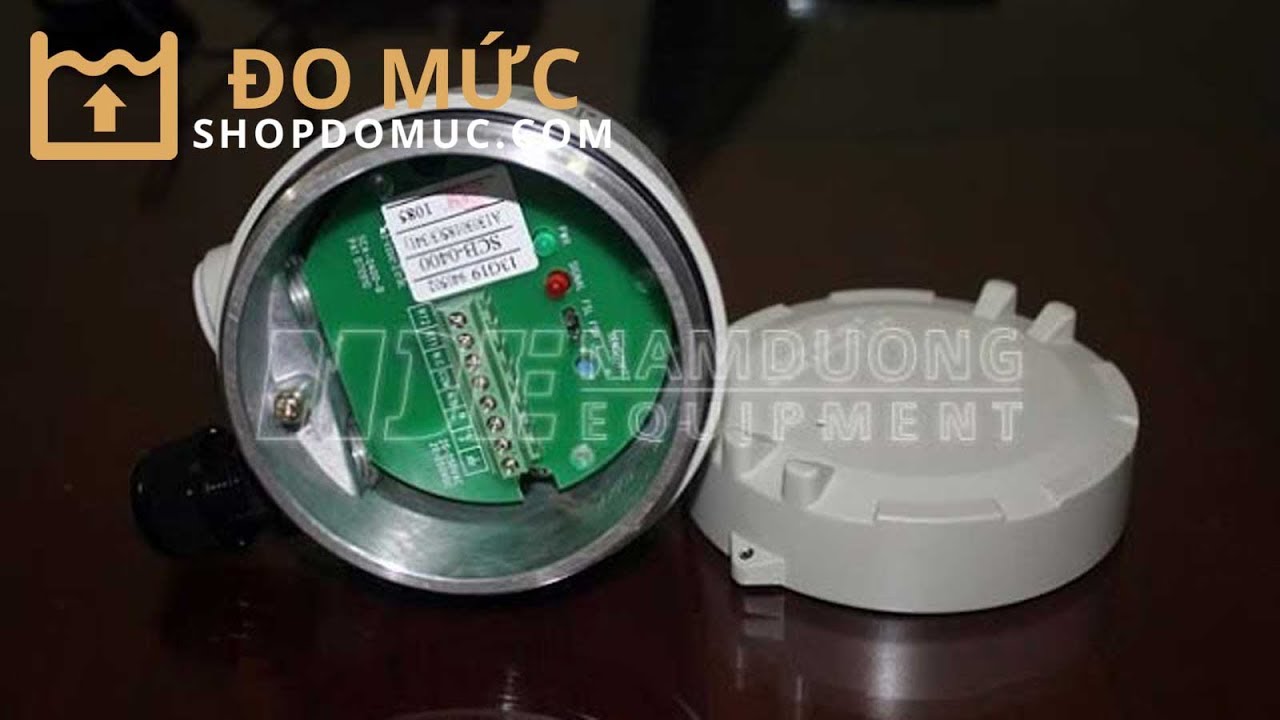 Thiết bị đo mức kiểu rung âm thoa -- Tuning Fork hãng Finetek - YouTube