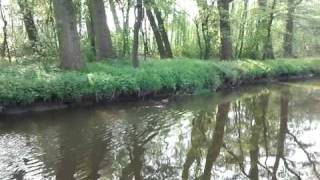 Lente in de Zegge langs de Dommel