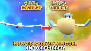 How To Evolve Wingull Into Pelipper In Pokemon Scarlet Violet