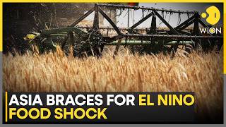 Asia Prepares For Severe El Nino Impact; Drought Fears Mount Across Southeast Asia | WION News