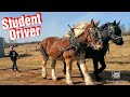 Justin is learning how to drive  draft horses