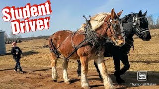 Justin Is Learning How To Drive Draft Horses