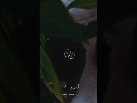 وحب النبي اتباع له ﷺ