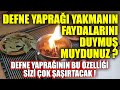 Defne Yaprağını Yakıp 10 dakika Bekleyin Ve Mucizeye Tanıklık Edin !