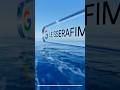 You have 1 unread message from @lesserafim_official!