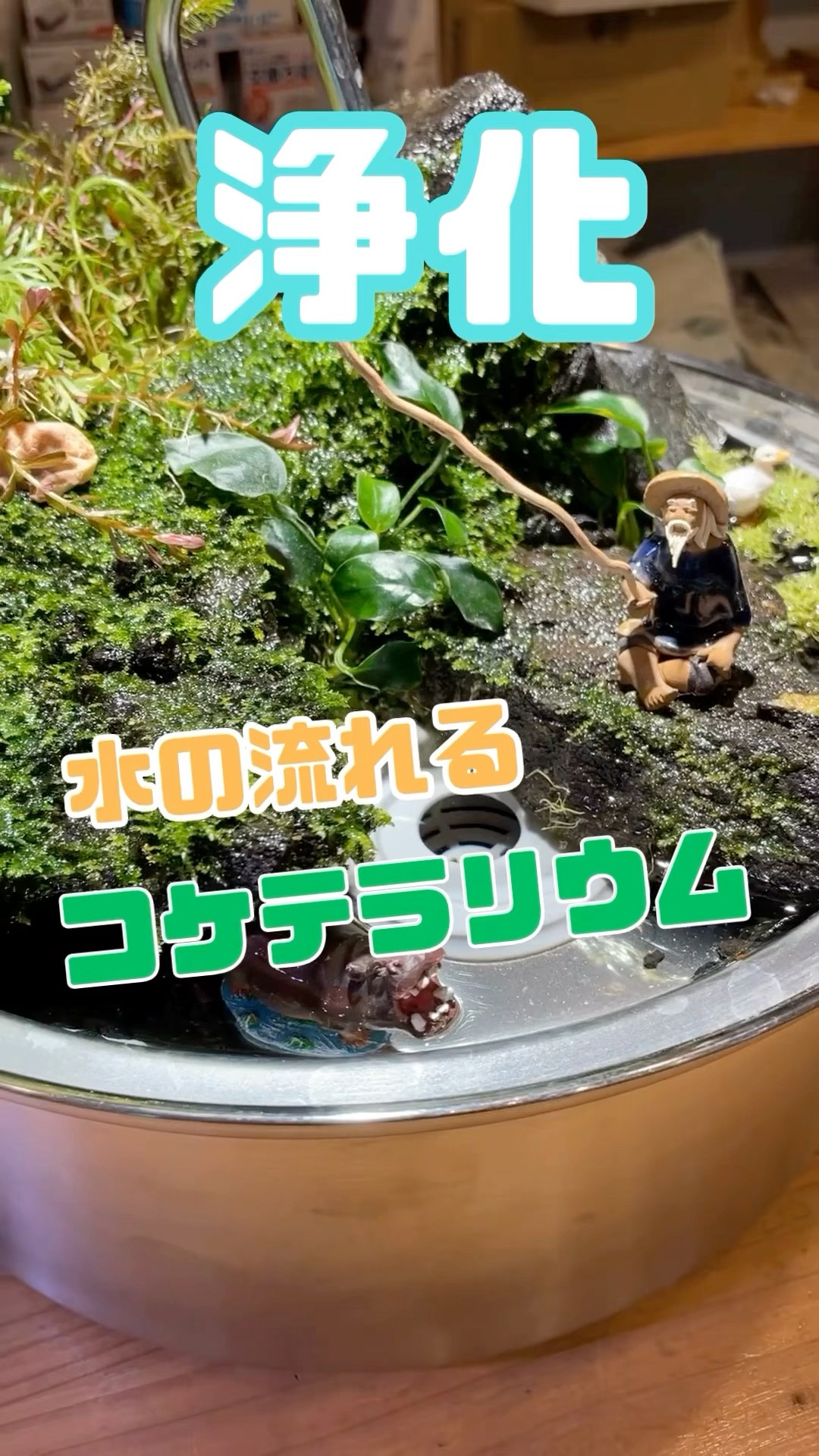 Extremely beautiful] I made a dripping moss terrarium! #shorts