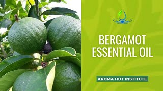 Bergamot Essential Oil | Bergamot Essential Oil Benefits