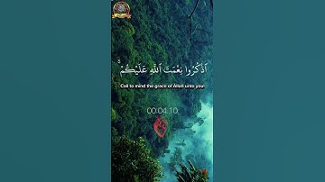سورة فاطر Surah Fatir - الأية 3 | يا أيها الناس اذكروا نعمة الله عليكم/ ماهر المعيقلي