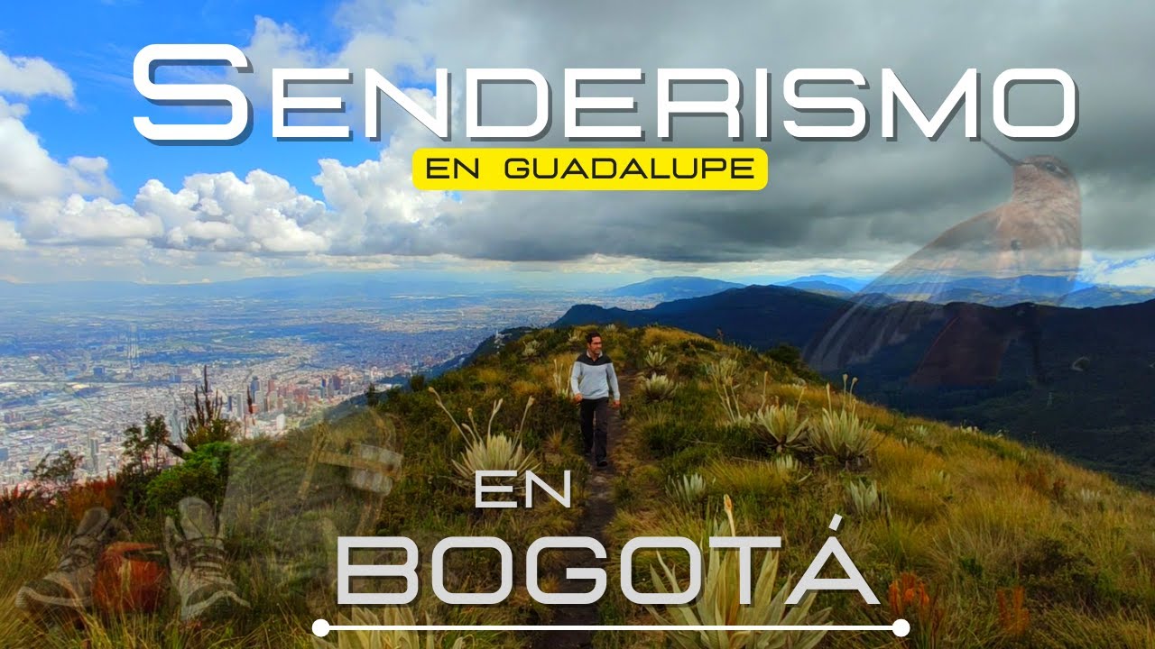 Sendero AGUANOSO en el Cerro de GUADALUPE (en Bogotá Colombia)