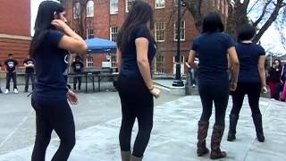 GAO '13 Stroll