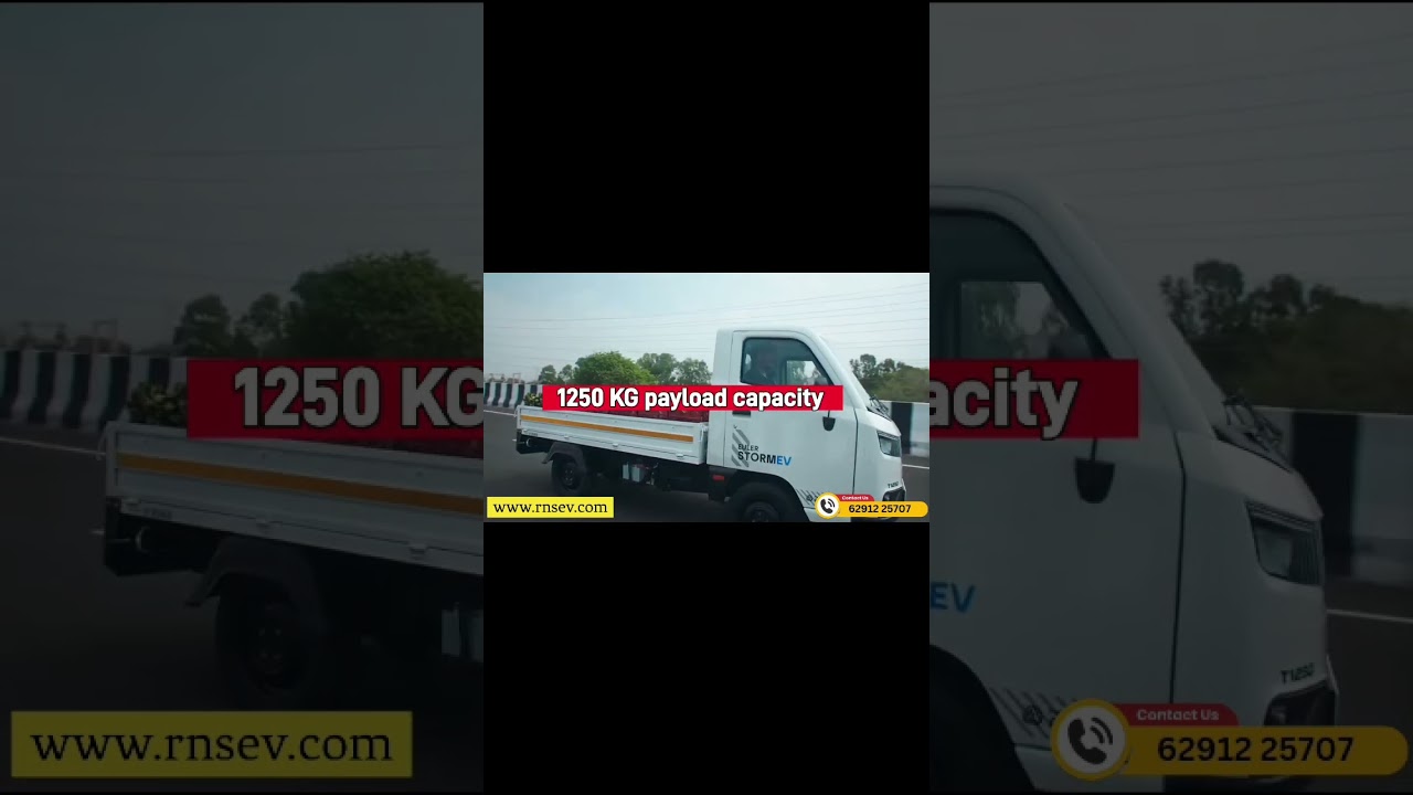 Leave Fuel Costs Behind – Go Electric with Euler!