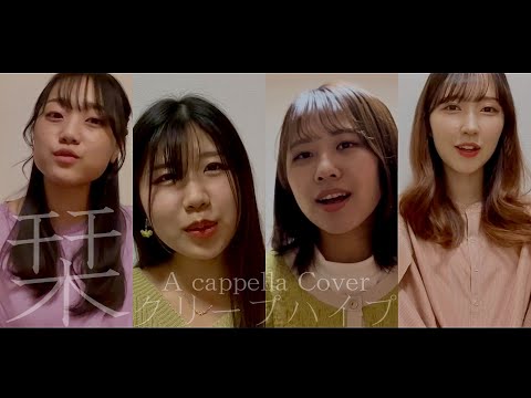 【アカペラ】栞/クリープハイプ【びぃぐる16期】