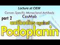 Part 3: Antibodies against Podoplanin