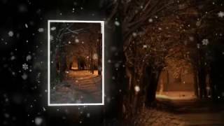 Падал белый снег - Илья Петровский Падал белый снег - Илья Петровский