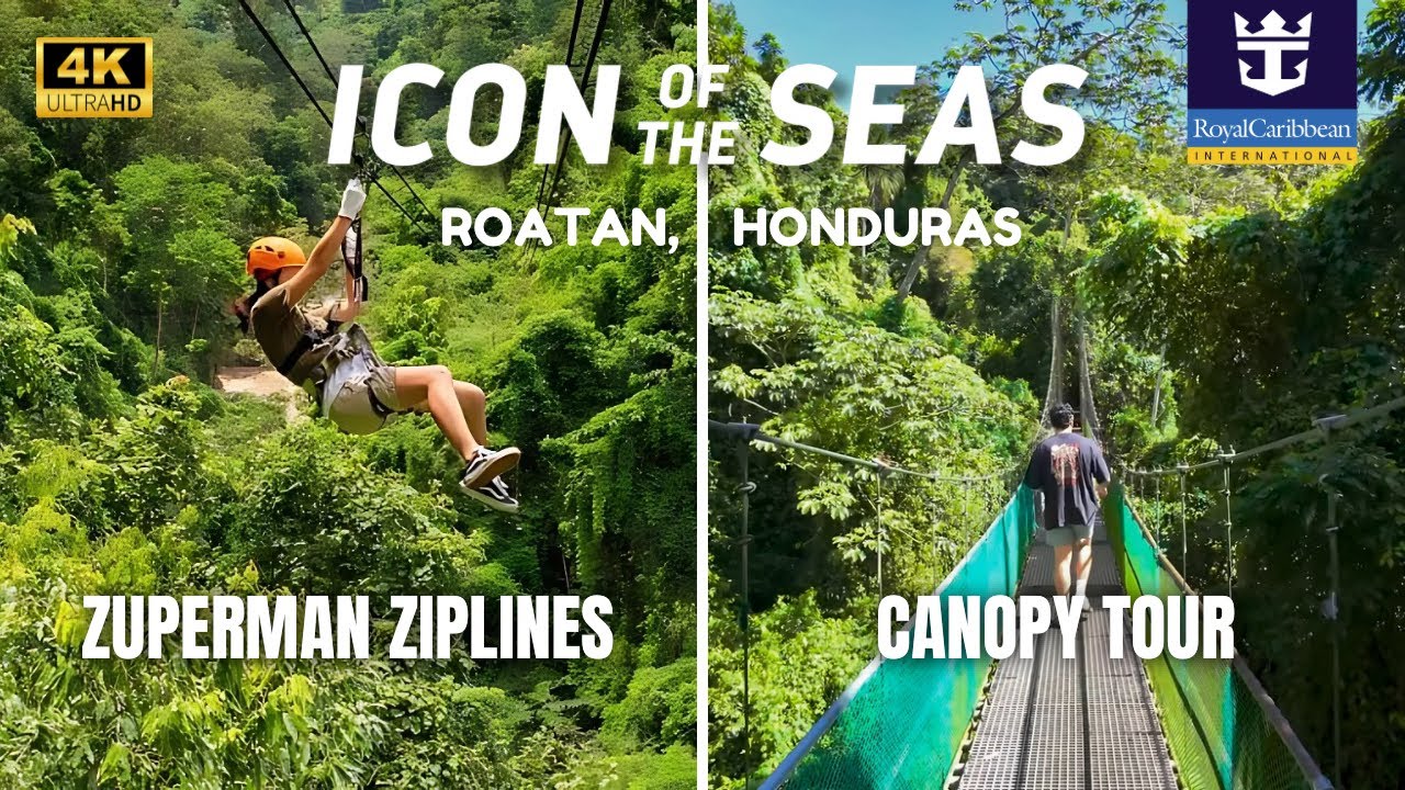 Jungle Canopy Zip Line Thrill