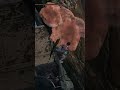 Failed jump XD | #horridttv on #Twitch