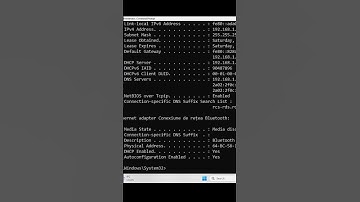 See Your Real IP, DNS, MAC & Network Info in Seconds (No App Needed): ipconfig/all