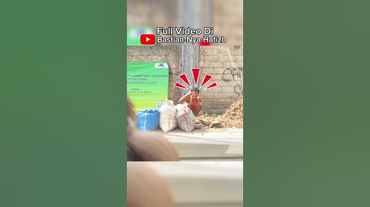 Beruk Bastian Ngeprank Sekitar  #monyet #monkey #animals