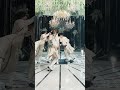 レシオ！ - 【Let’s Dance!】シンデレラガール 2023 -神宮寺勇太ver.-