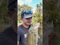 All I need is some help yall…🤭🤭🤭 #bassfishing #bigbass #louisiana #swamplife