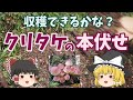 クリタケ原木栽培の経過報告です。仮伏せしていたホダ木を本伏せしました。が、奴に。。。 ♪目指せ自給自足♪