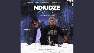 Ndiudze Zvese (feat. Ti Gonzi)
