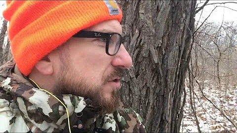 Winter Squirrel Hunting - Tips and Tricks* (*No legitimate tips and/or tricks are in this video)
