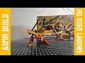 HG SEED 1/144 LaGOWE Bandai | ASMR BUILD | #gundam #gunpla #bandai #gundamseed 