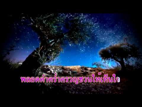335เพลงรักอะไรKaraokeHD