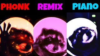 Dancing raccoon Raffaella Carrà - Pedro Phonk vs Remix vs Piano All Version