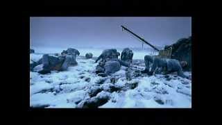 Morandi -- Falling Asleep [Official music video] chords