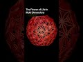 The Flower of Life in Multi Dimensions. For more information about this comment FOL